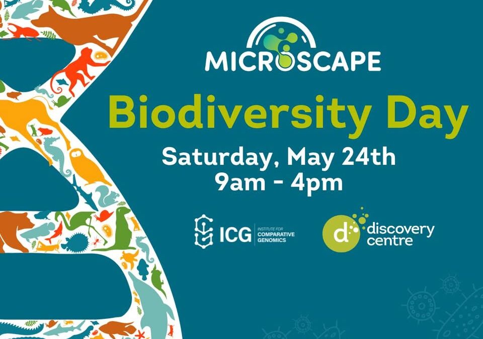 The MicroScape Program — a partnership between the ICG and The Discovery Centre — was featured on CTV News.